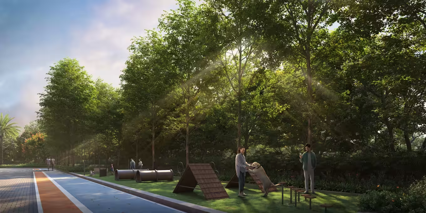 Pet park and forest trail